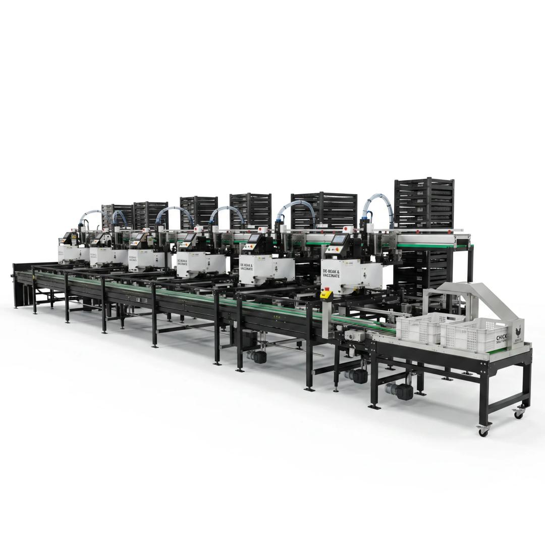 Conveying and Stacking Line for Day-Old Chick Infrared Beak Trimming & Vaccination System