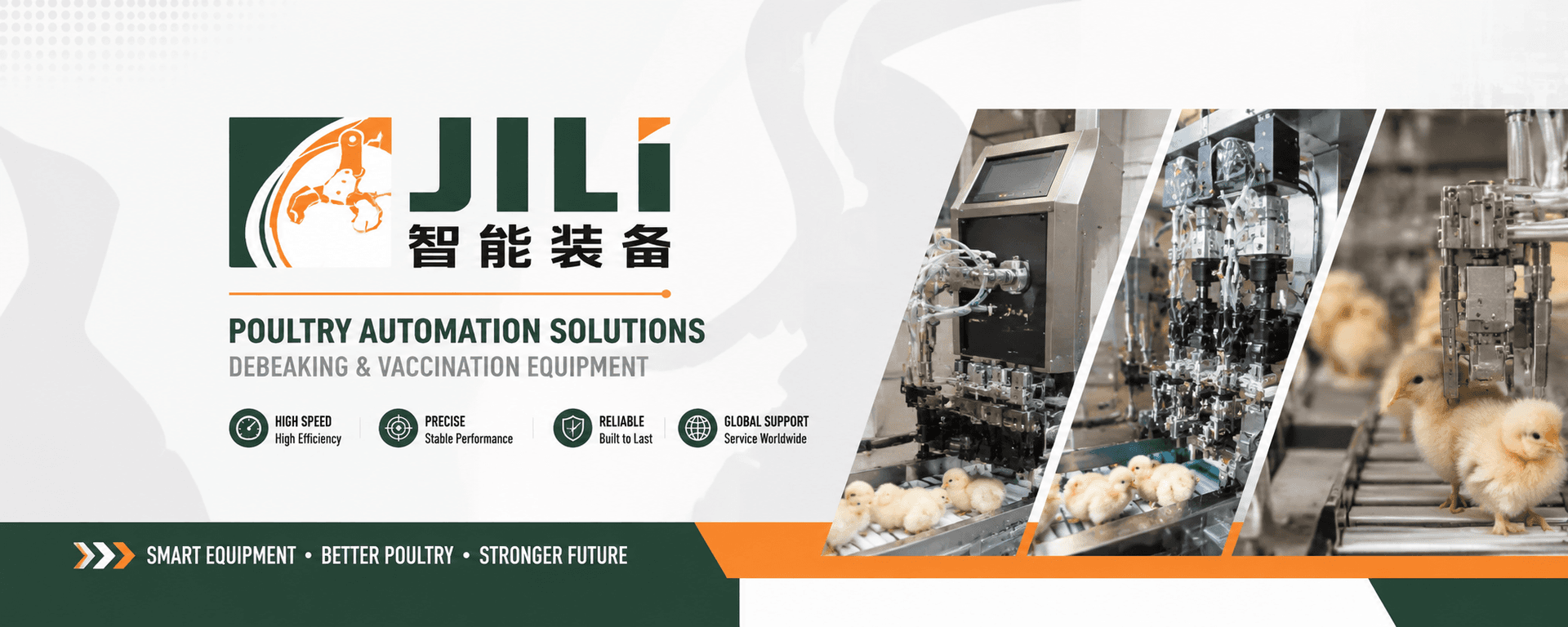 Coût d'une ligne de transformation de poussins : Les trois niveaux budgétaires de Jili Intelligent